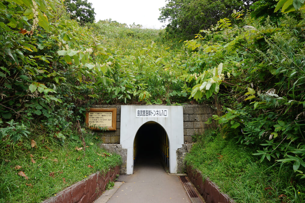 島武意海岸の写真4
