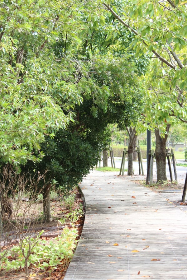 鳴門ウチノ海総合公園の写真9
