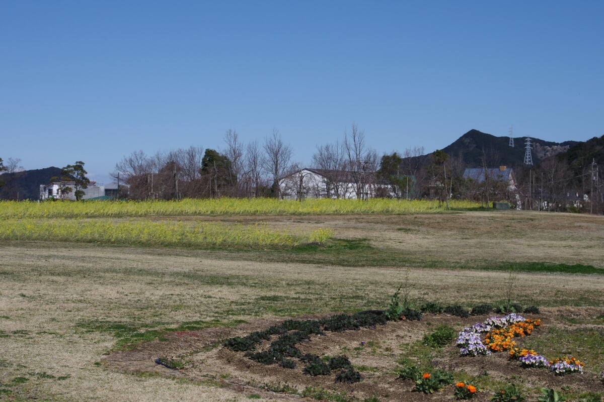 鳴門ウチノ海総合公園の写真10