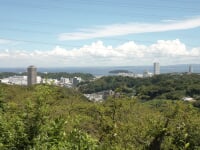 県立塚山公園