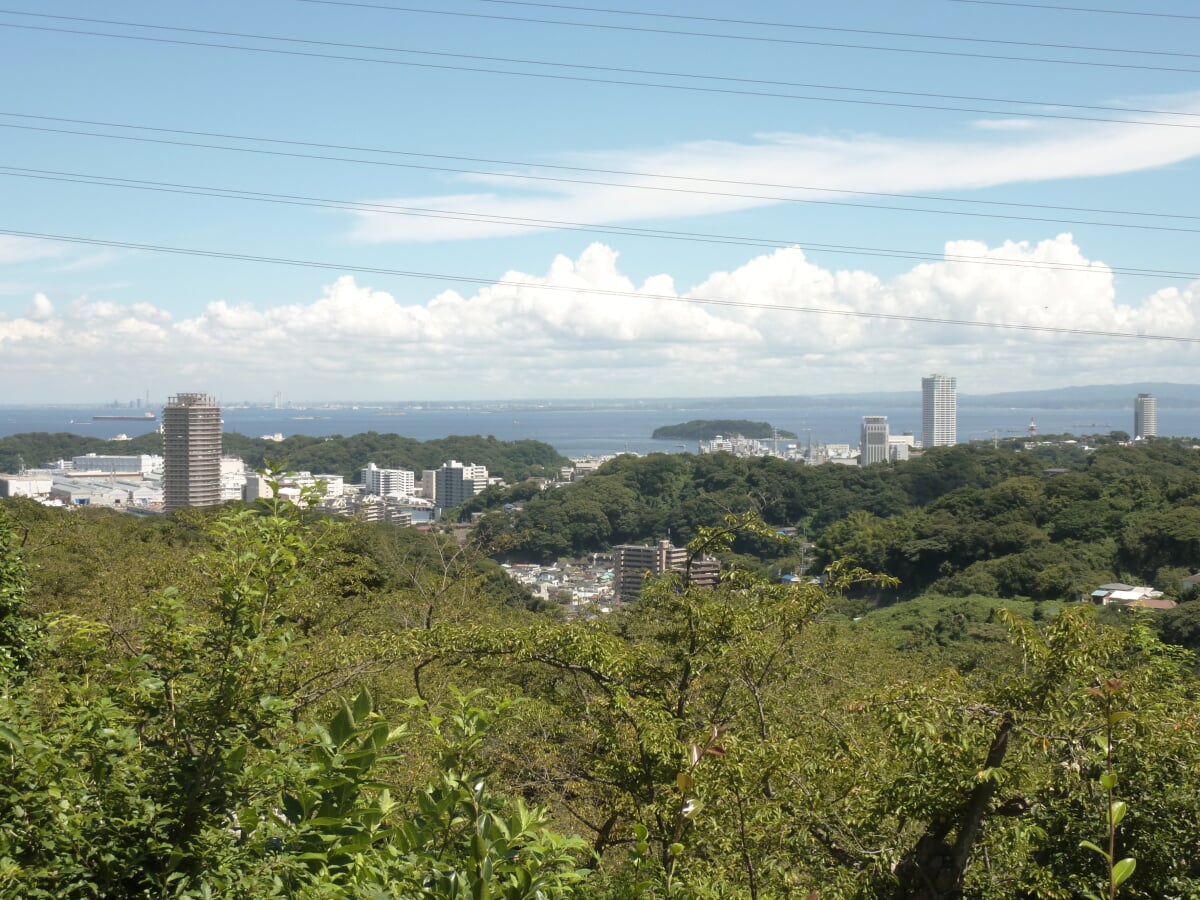 県立塚山公園の写真1