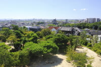 桃山公園