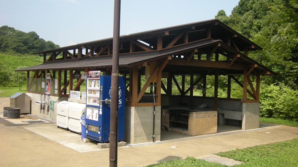 水の森公園の写真3