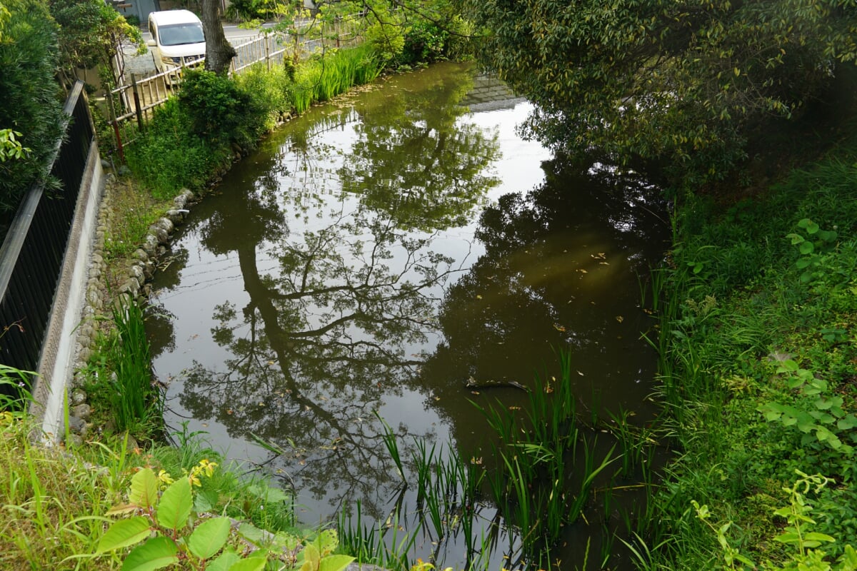 横須賀城跡の写真4