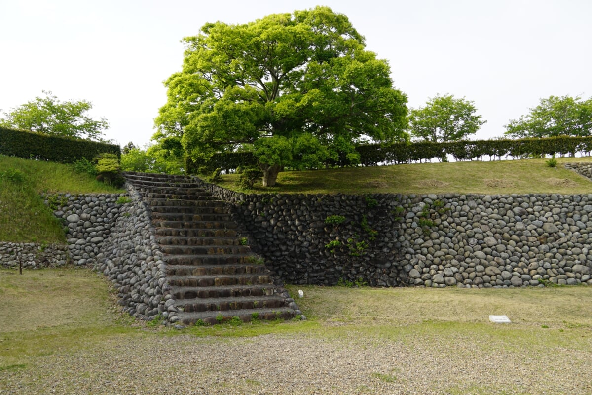 横須賀城跡の写真6