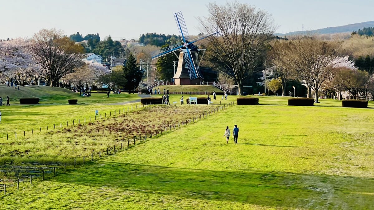 道の駅 ぐりーんふらわー牧場・大胡の写真4