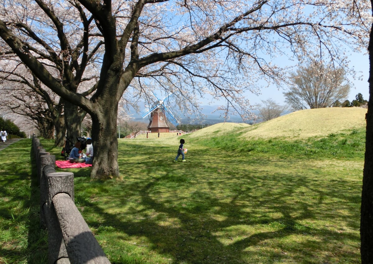 道の駅 ぐりーんふらわー牧場・大胡の写真5