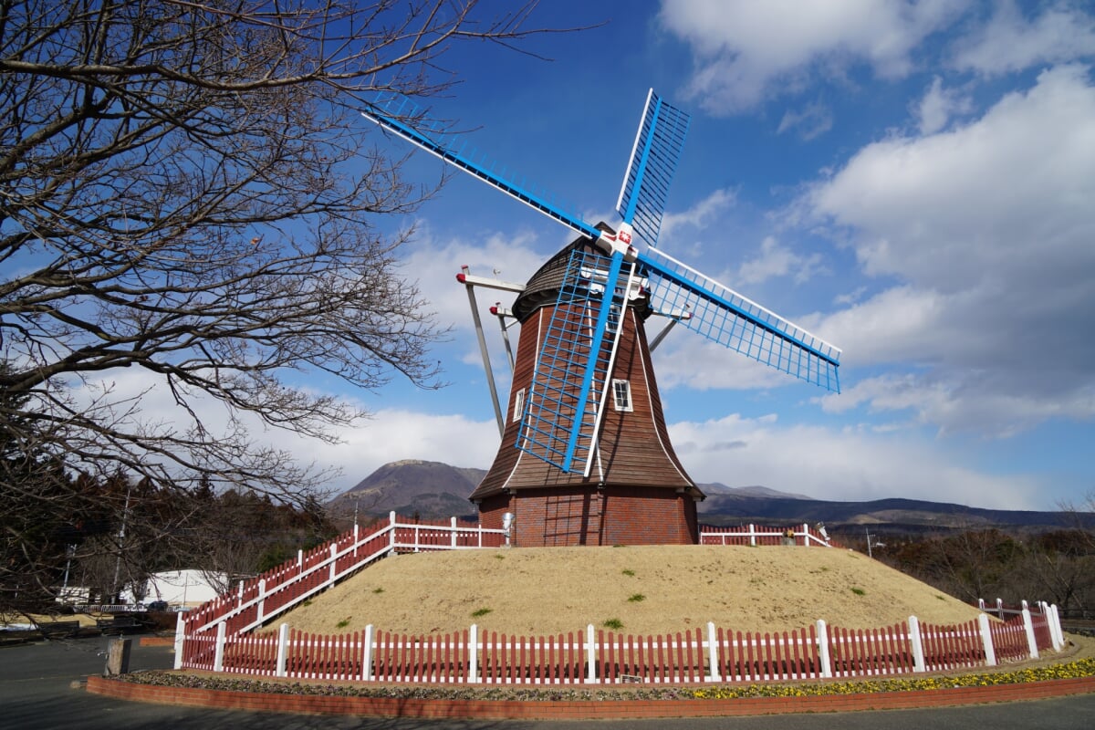道の駅 ぐりーんふらわー牧場・大胡の写真6