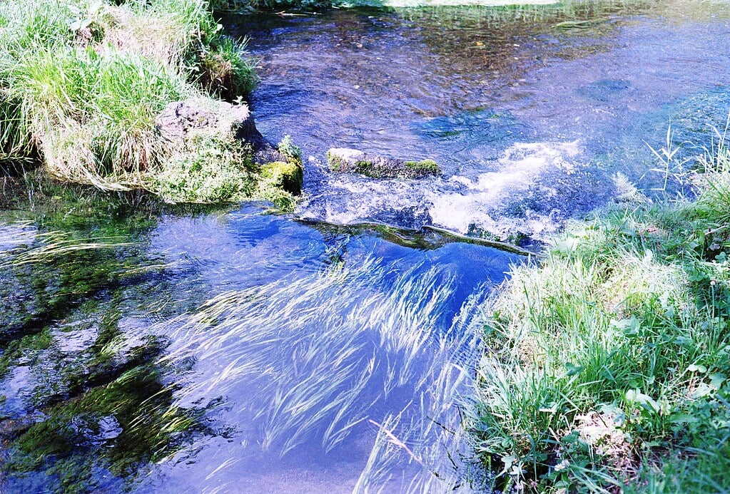 忍野八海の写真4