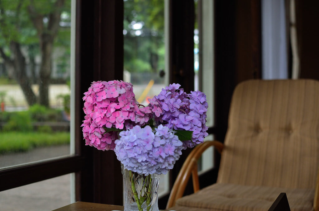 エリスマン邸の写真4