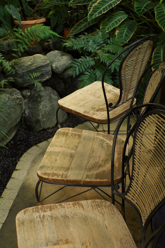 渋谷区ふれあい植物センターの写真6