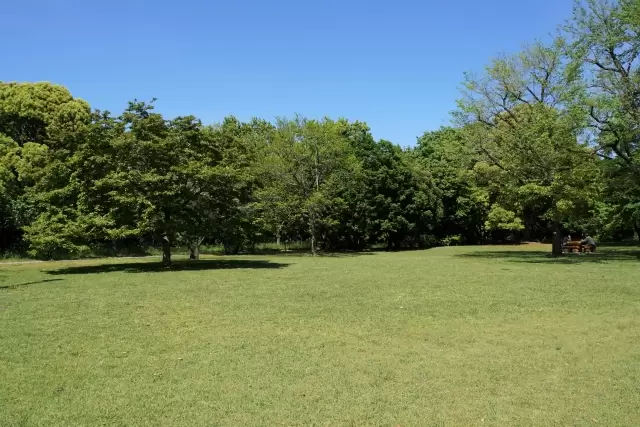 東京都立東京港野鳥公園の写真1