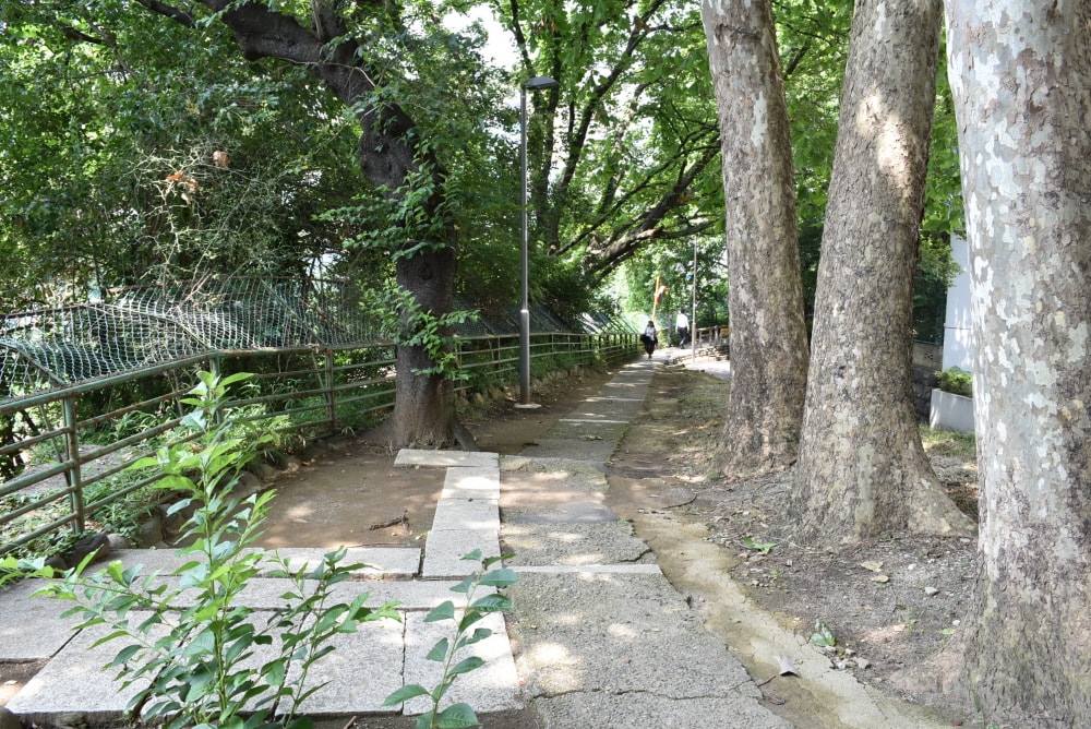 外濠公園の写真2