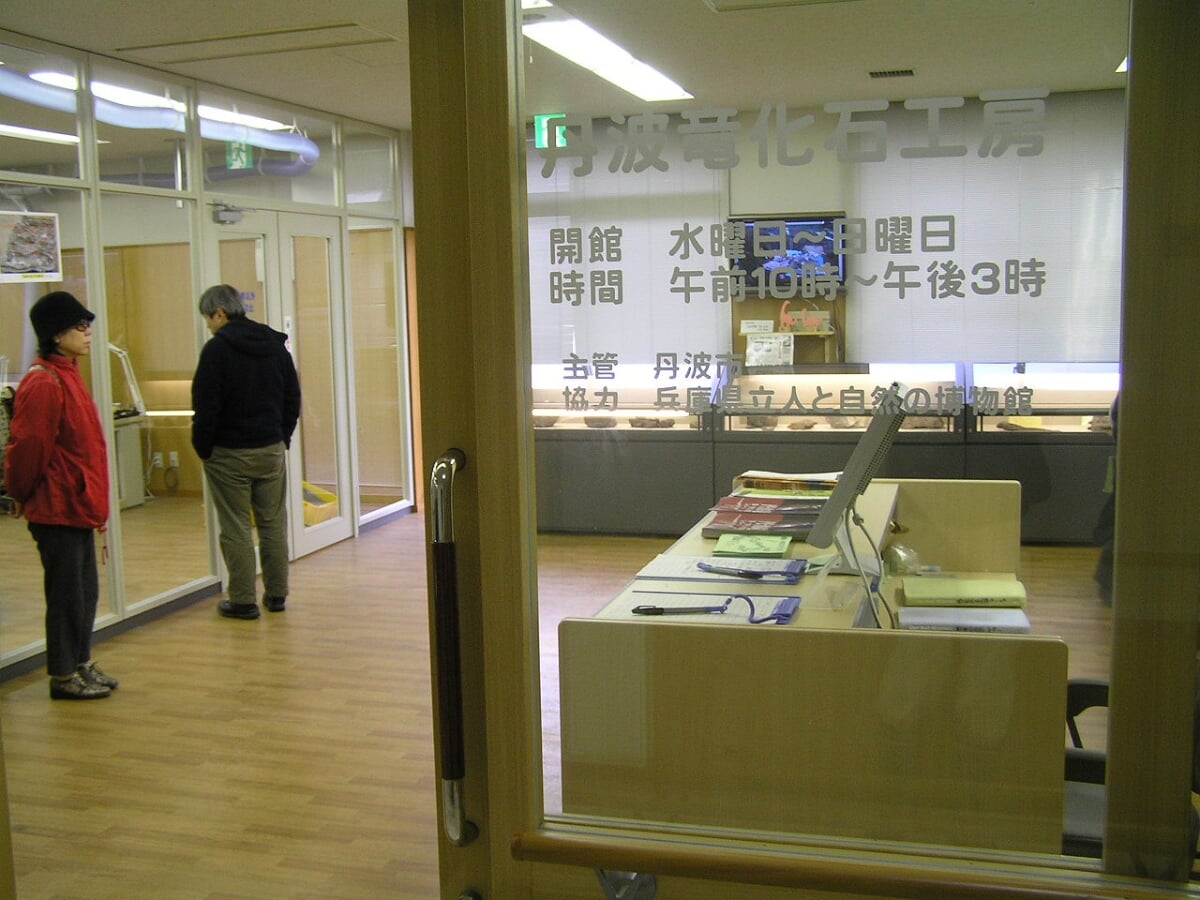 丹波竜化石工房 ちーたんの館の写真2