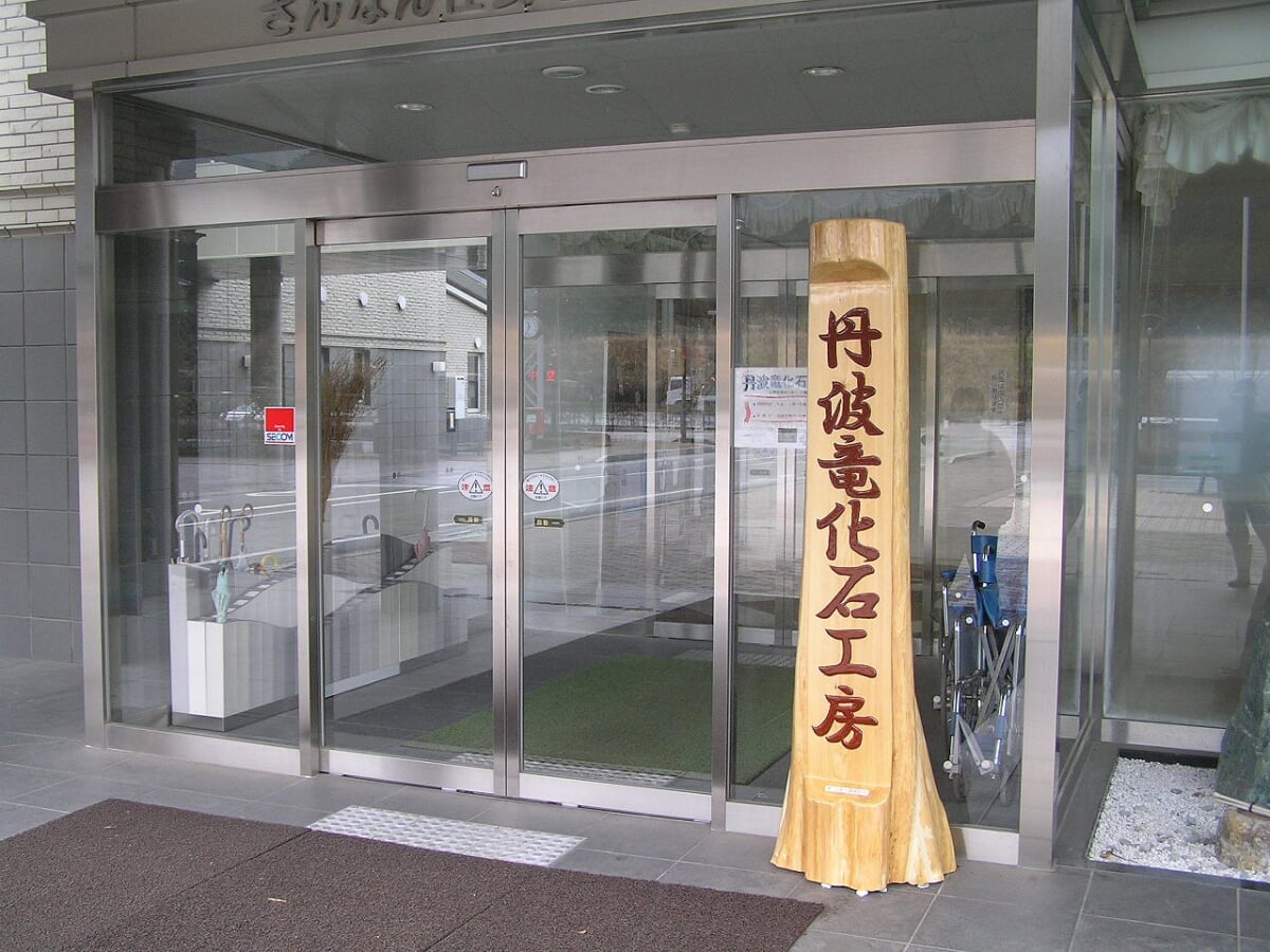 丹波竜化石工房 ちーたんの館の写真3