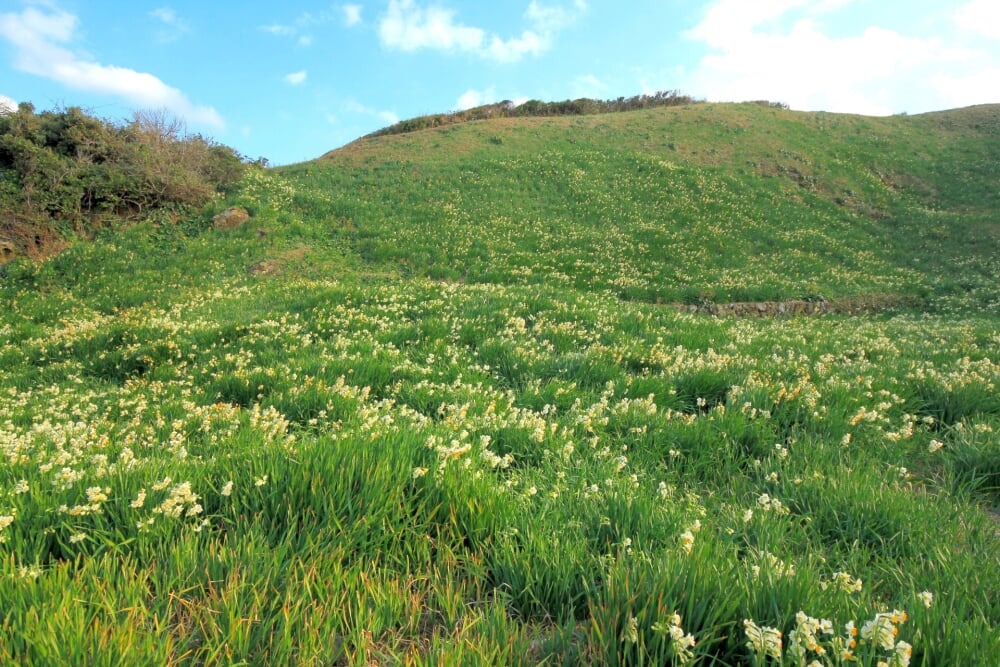 爪木崎の写真12