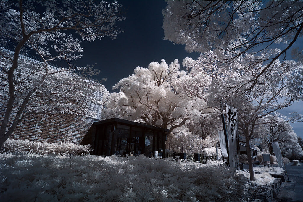 明石公園の写真3