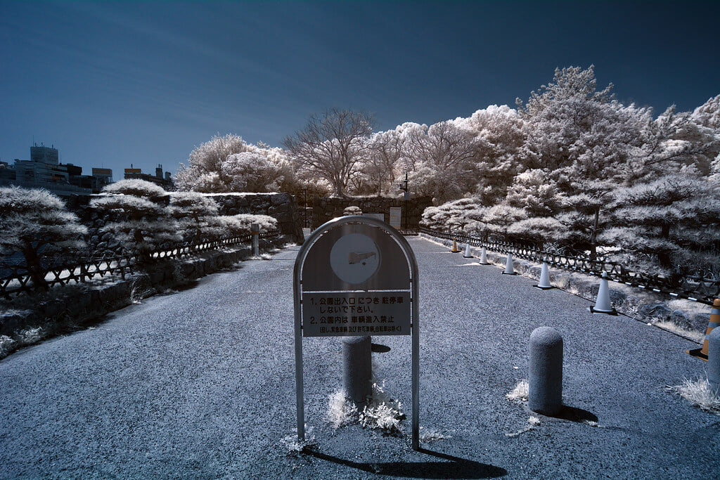 明石公園の写真4