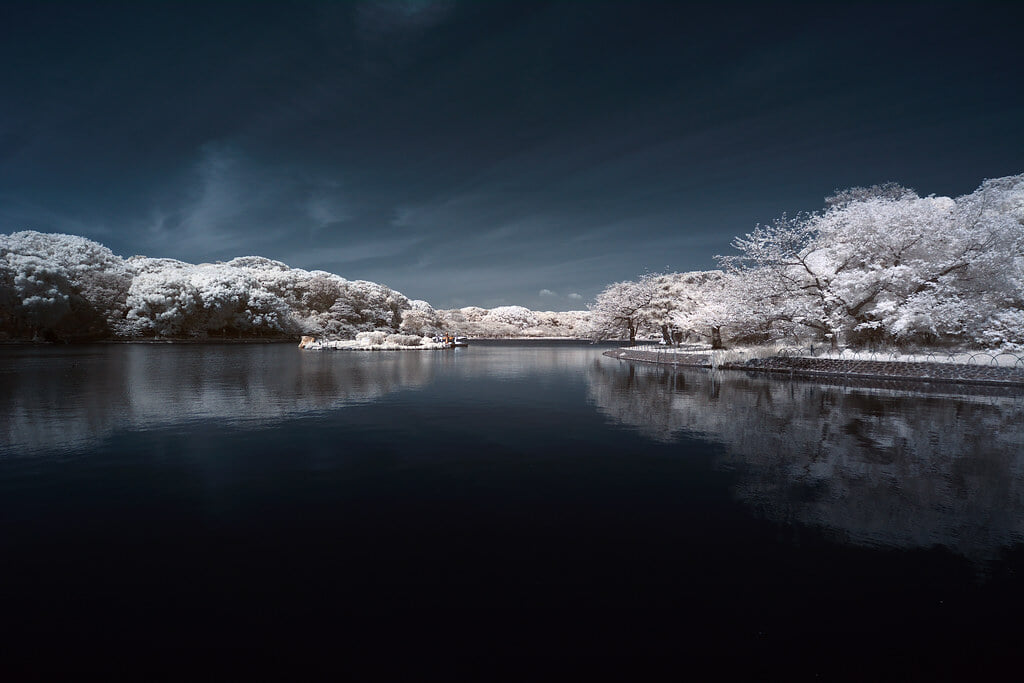 明石公園の写真6