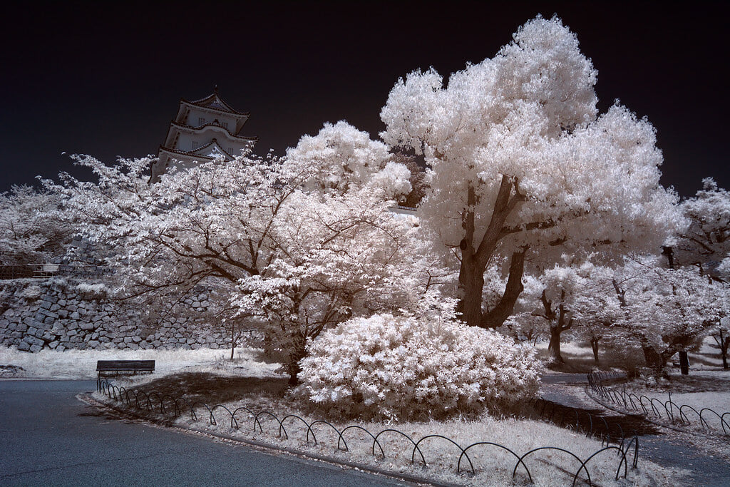 明石公園の写真7