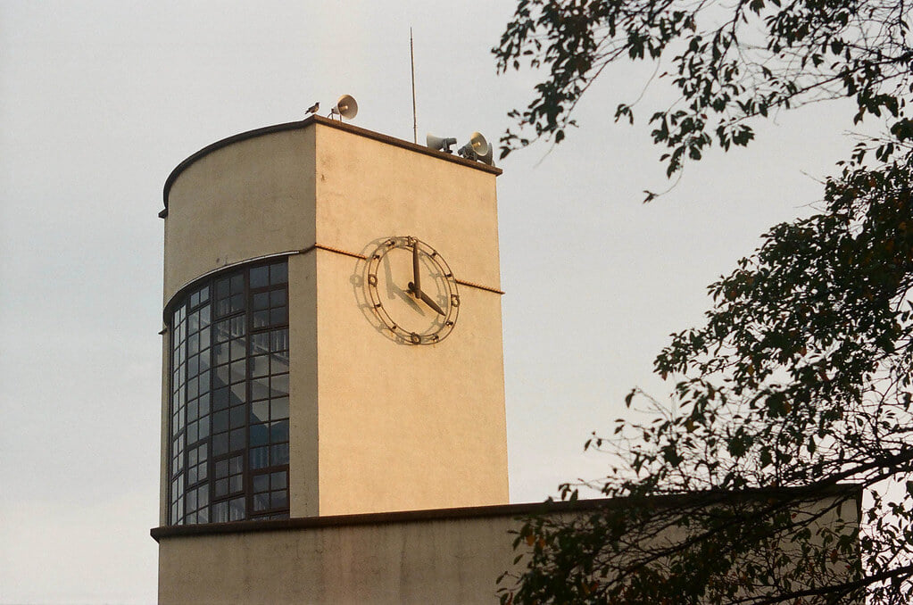 小石川植物園の写真2