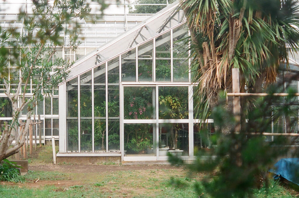 小石川植物園の写真10