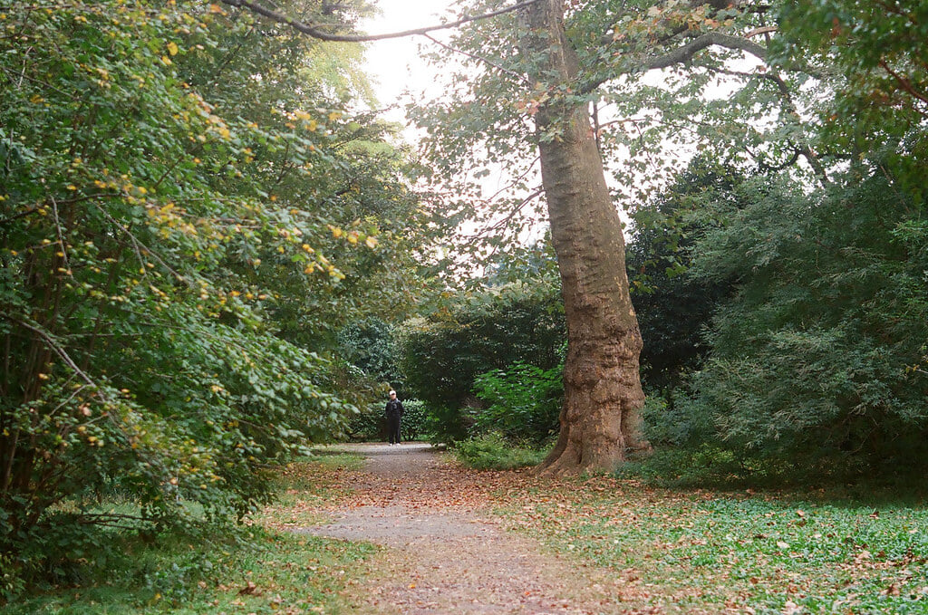 小石川植物園の写真13