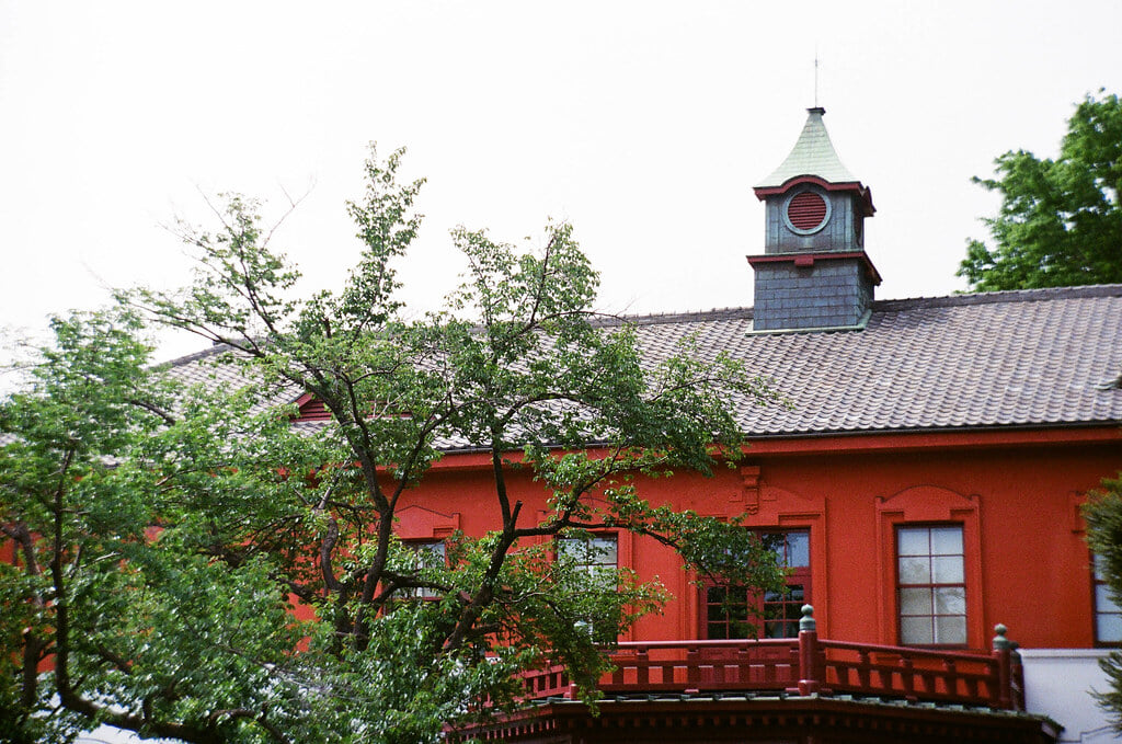 小石川植物園の写真1