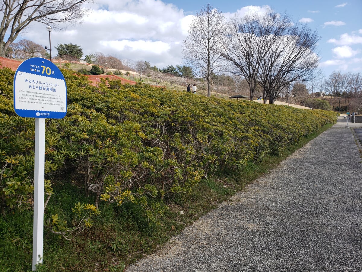 みとろ観光果樹園の写真2