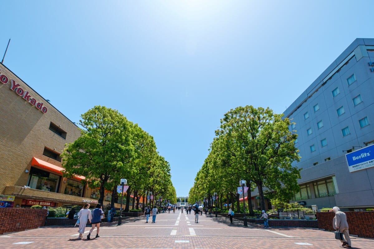 多摩センター パルテノン大通りの写真3