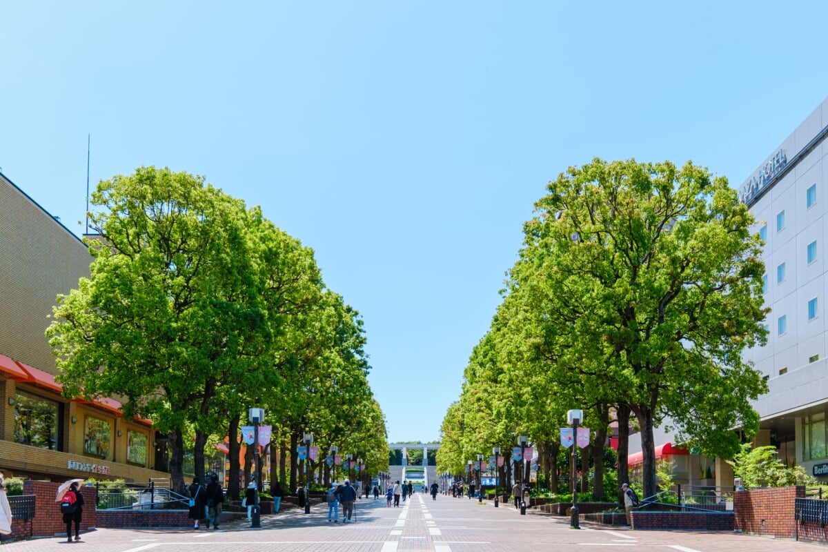 多摩センター パルテノン大通りの写真5