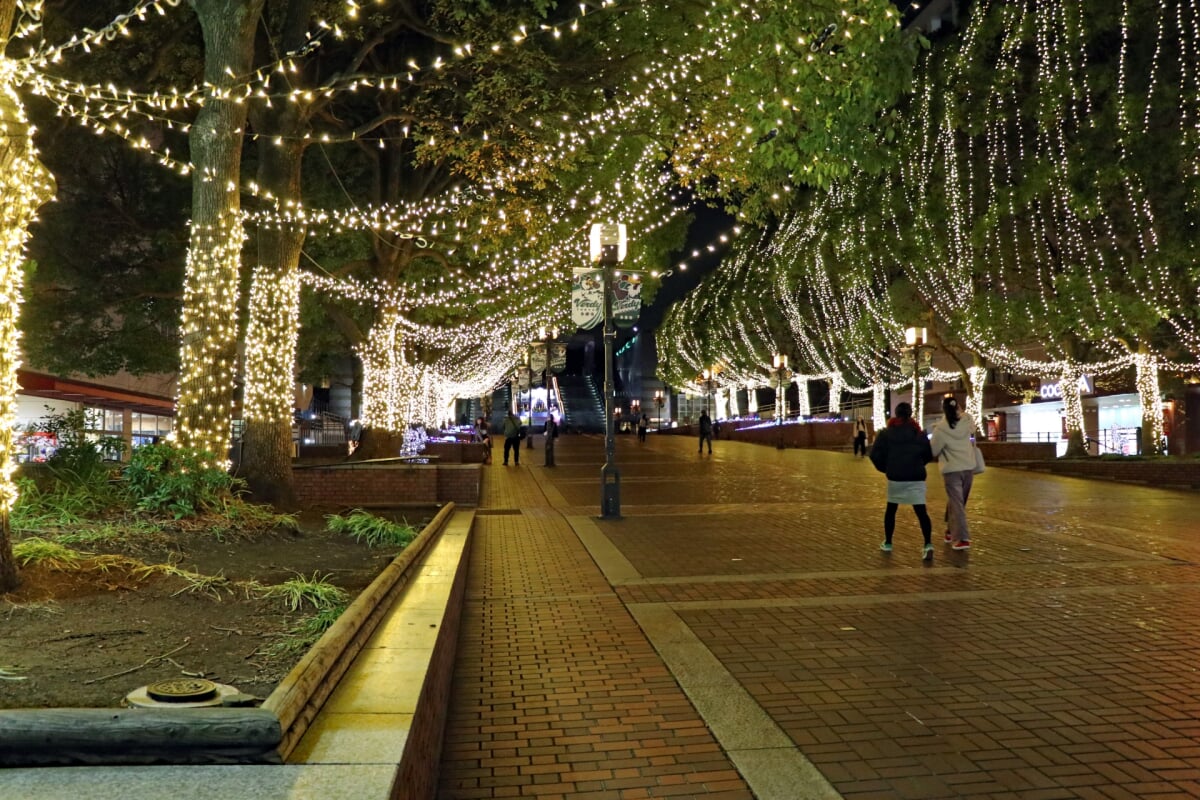 多摩センター パルテノン大通りの写真7