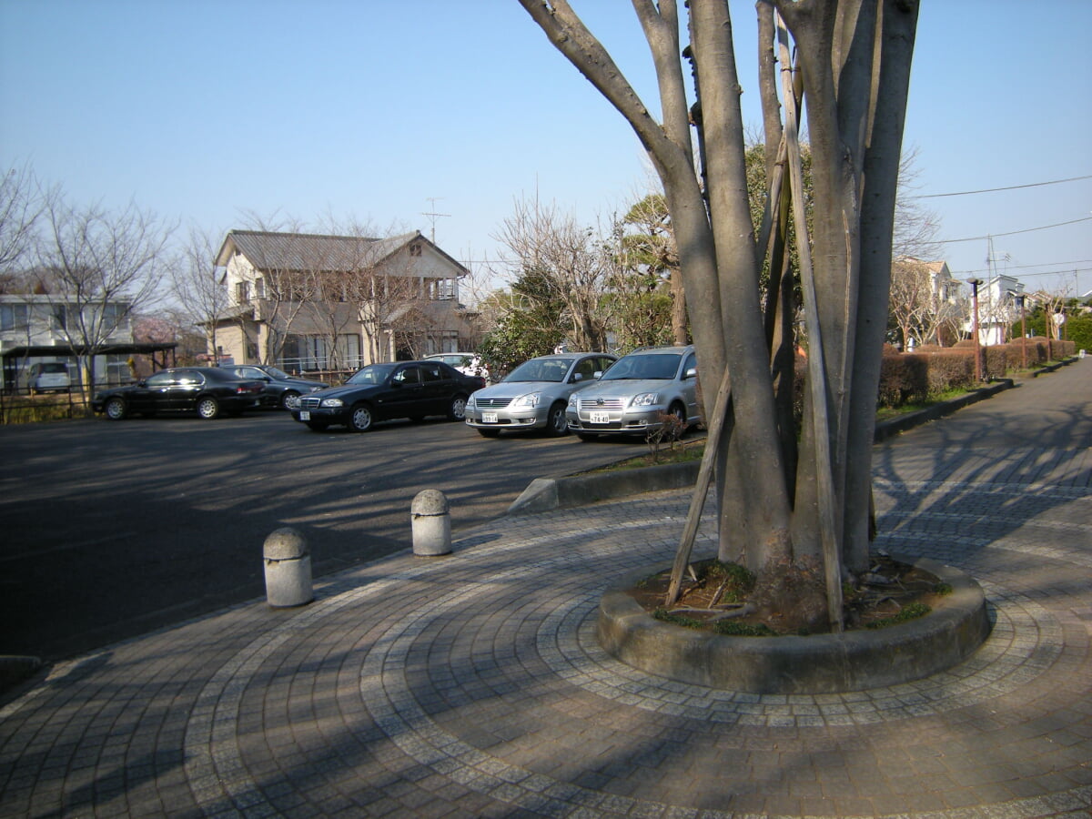 相模川自然の村公園の写真1