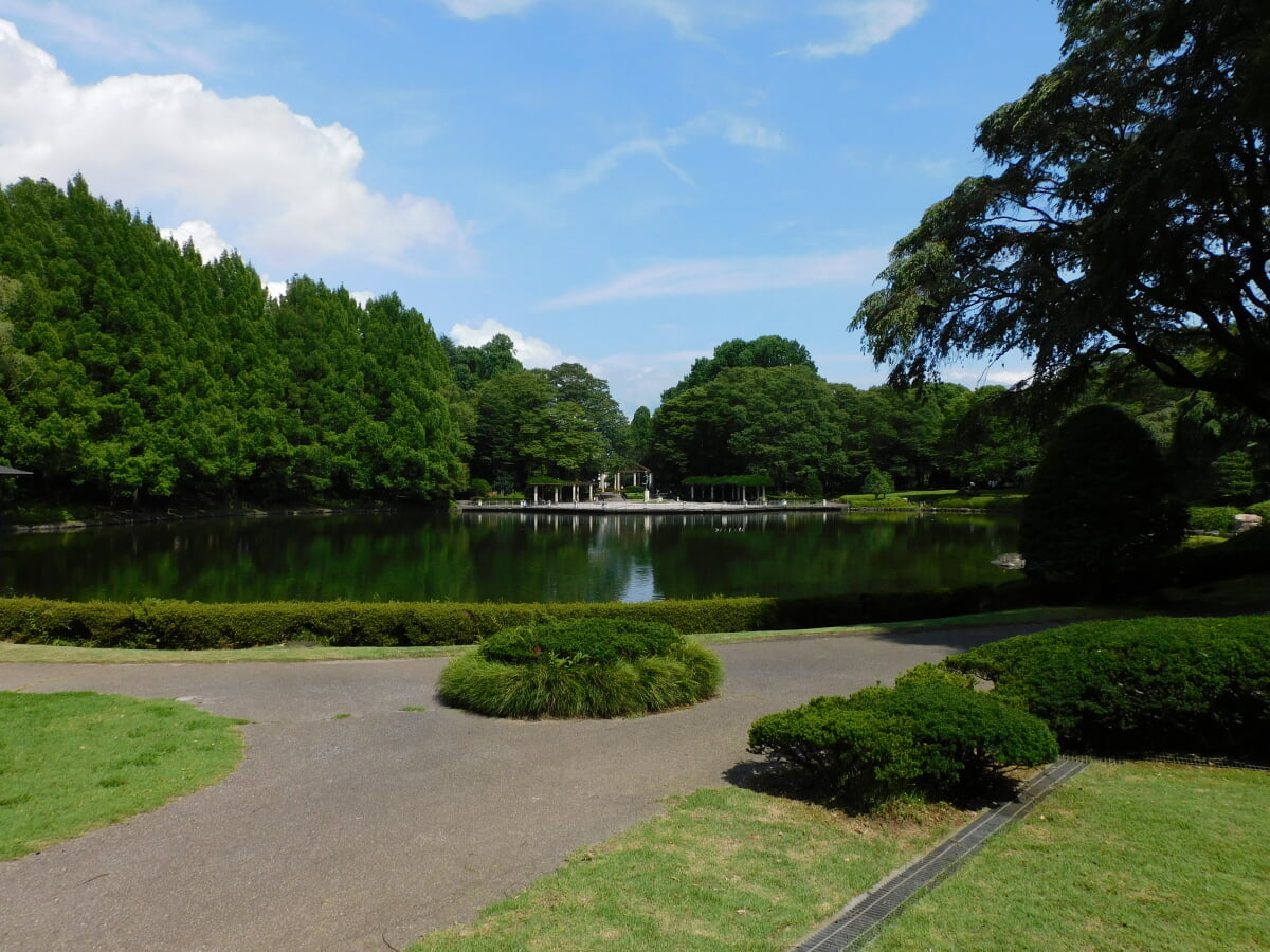 栃木県中央公園の写真1