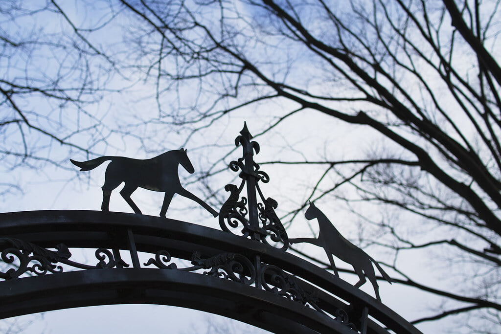 根岸公園の写真3