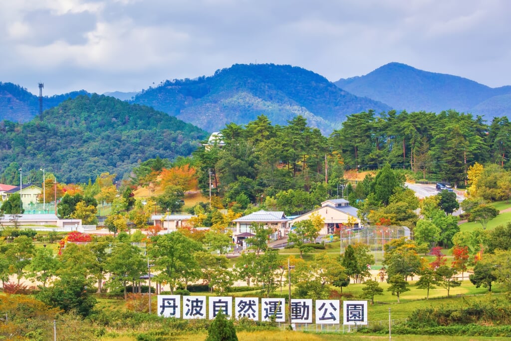 丹波自然運動公園の写真1