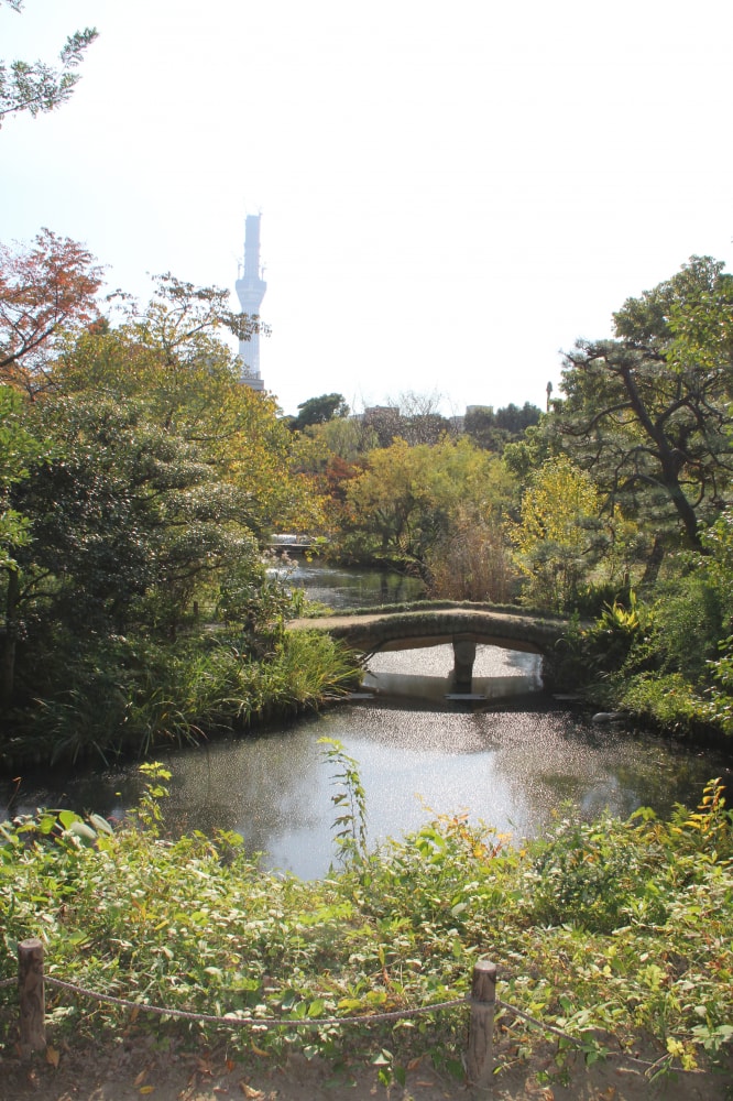 向島百花園の写真4