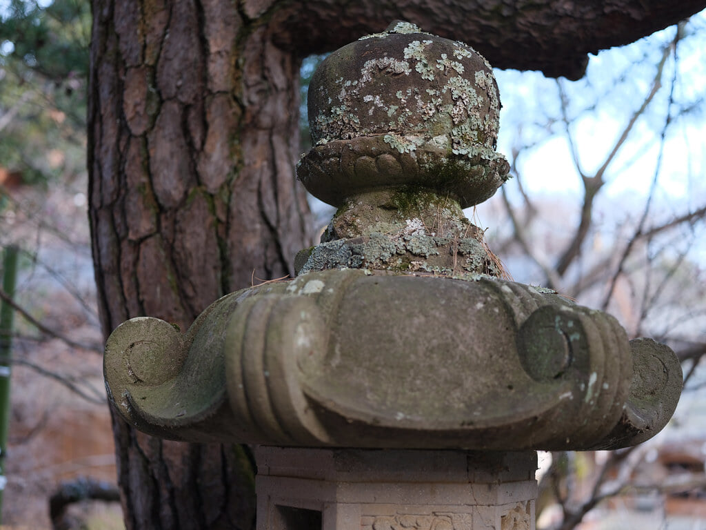 深大寺の写真12