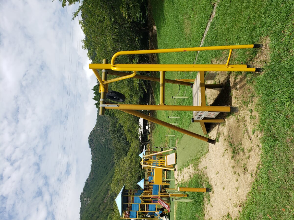 市ノ池公園の写真13