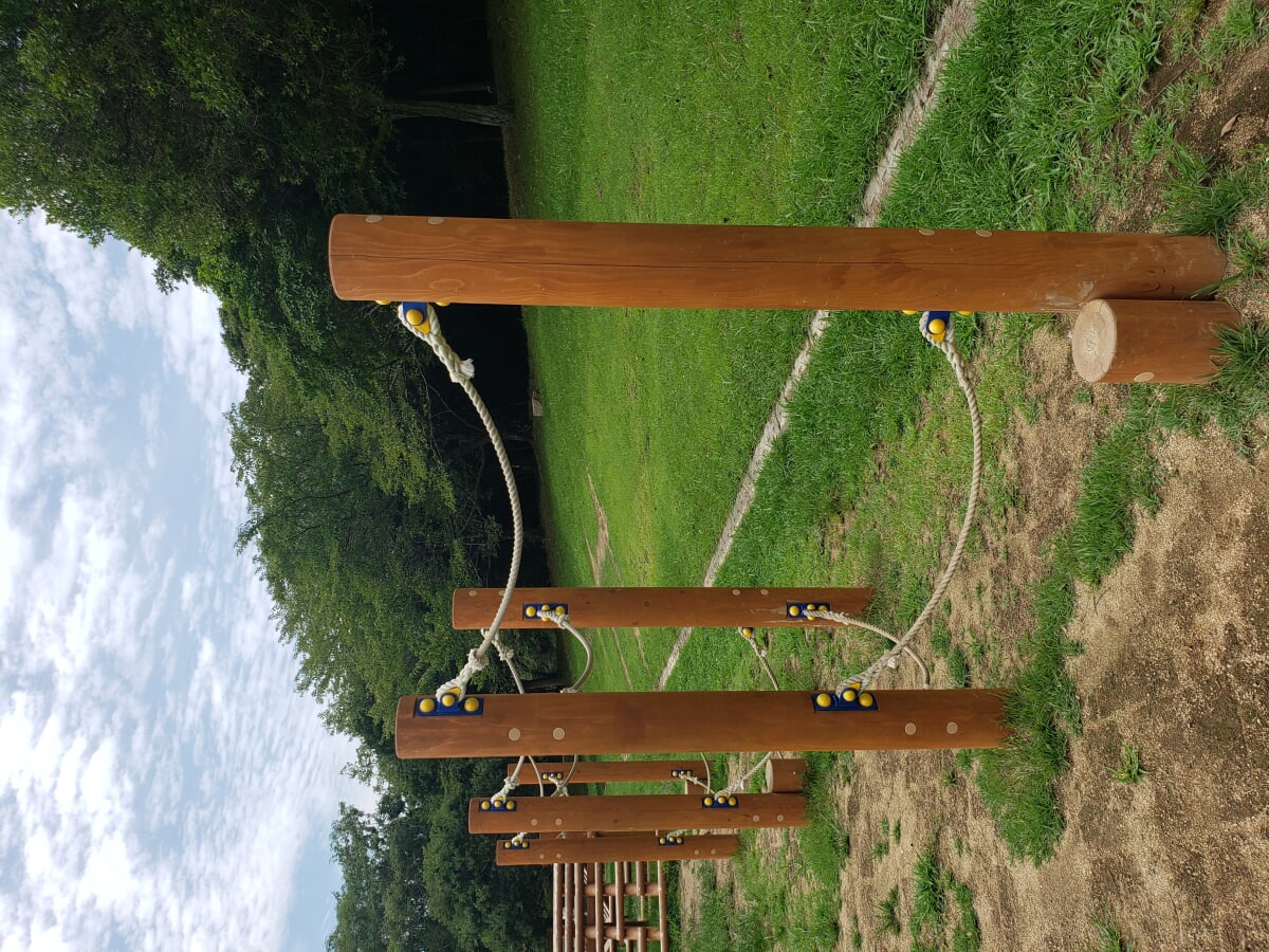 市ノ池公園の写真17