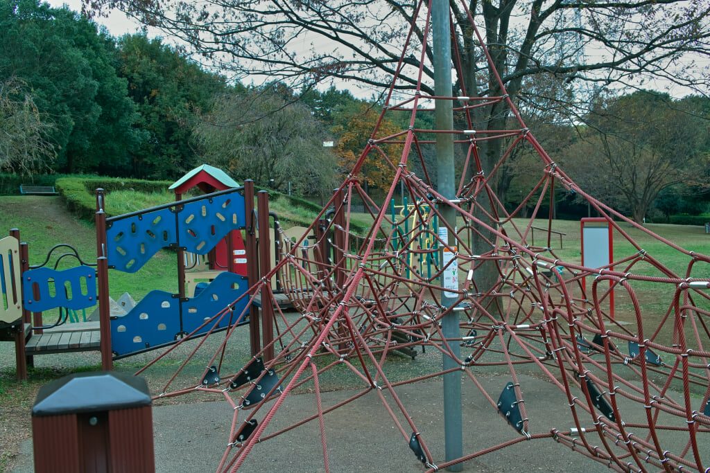 王禅寺ふるさと公園の写真2