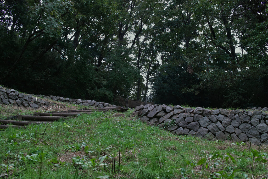 王禅寺ふるさと公園の写真3