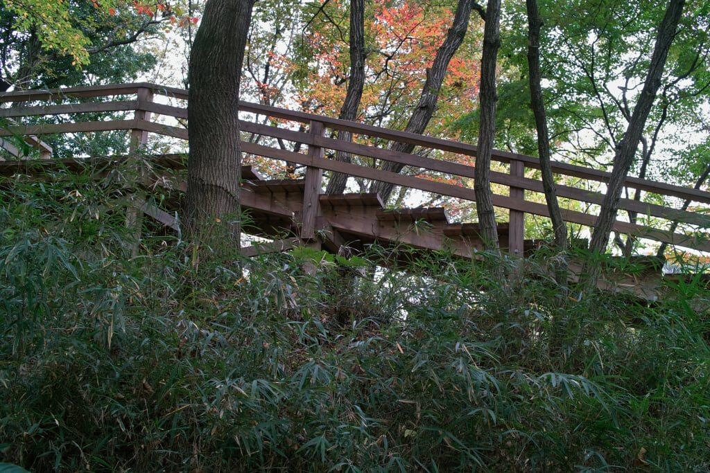 王禅寺ふるさと公園の写真4