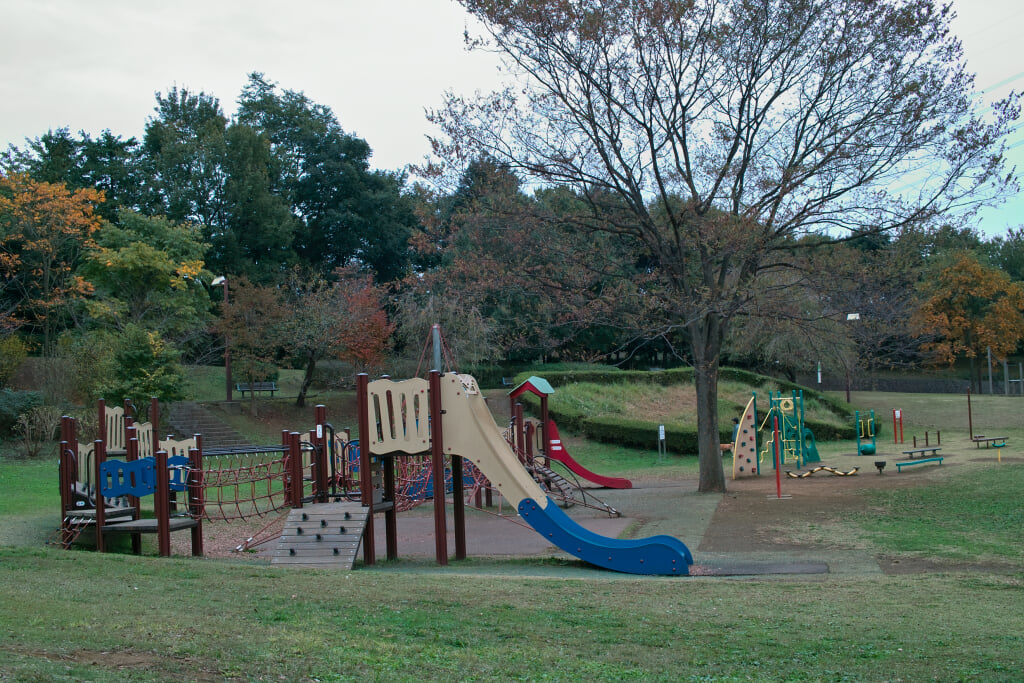 王禅寺ふるさと公園の写真5