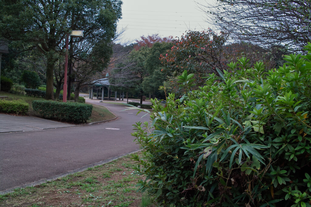 王禅寺ふるさと公園の写真7