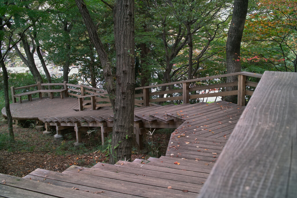 王禅寺ふるさと公園の写真8