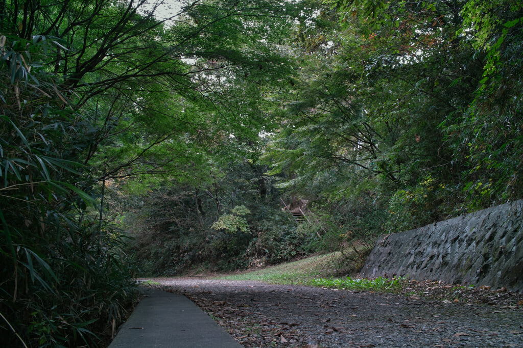 王禅寺ふるさと公園の写真9