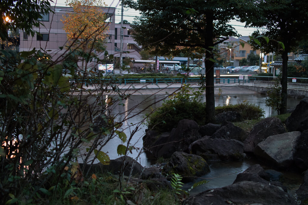 王禅寺ふるさと公園の写真10