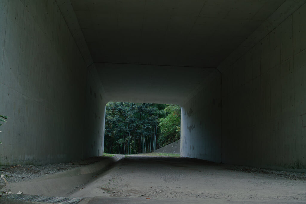 王禅寺ふるさと公園の写真11
