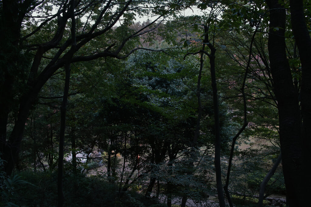 王禅寺ふるさと公園の写真12